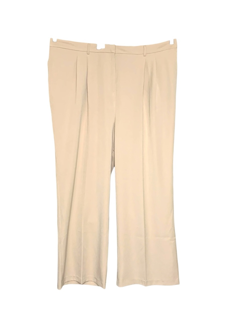 Dex Cream Wide Leg Pleated Dress Trousers Sz 2X High Rise Neutral Closet Staple